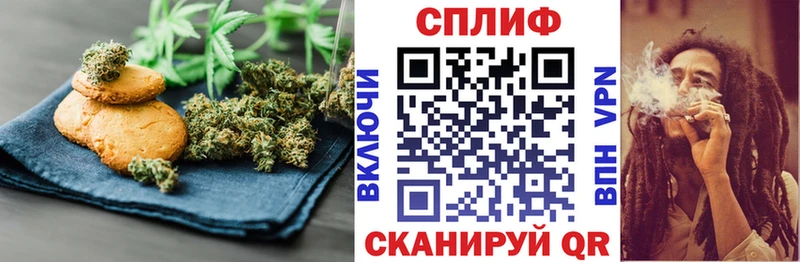Cannafood конопля  Губкин 