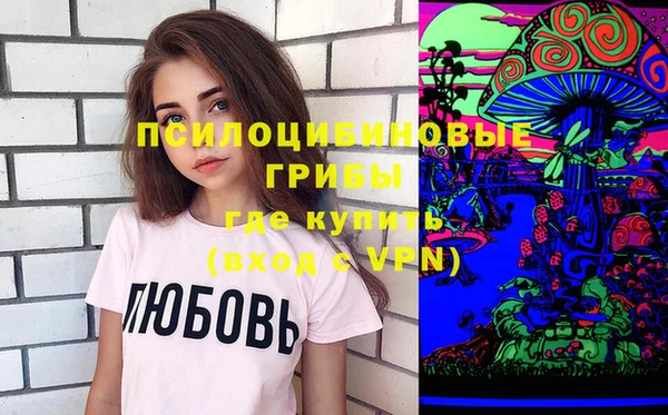 прущие крисы Горняк