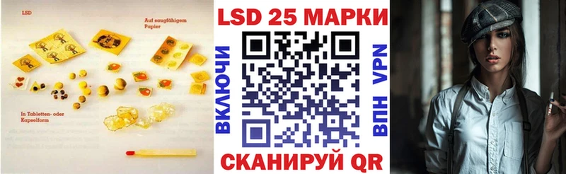 закладки  Губкин  Лсд 25 экстази кислота 