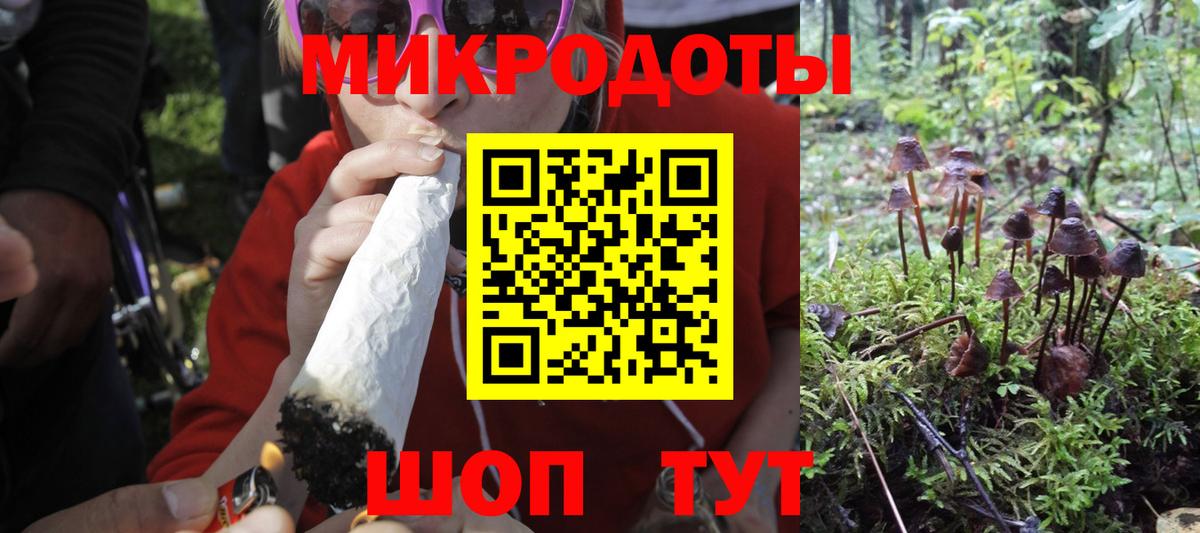 Псилоцибиновые грибы Psilocybe  Псилоцибиновые грибы ЛСД  Губкин  Вход с VPN 