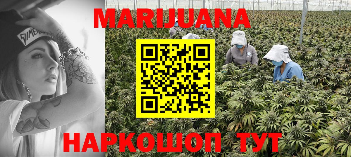 Канабис MAZAR  Вход с VPN  Губкин  Канабис OG Kush  МАРИХУАНА гибрид 